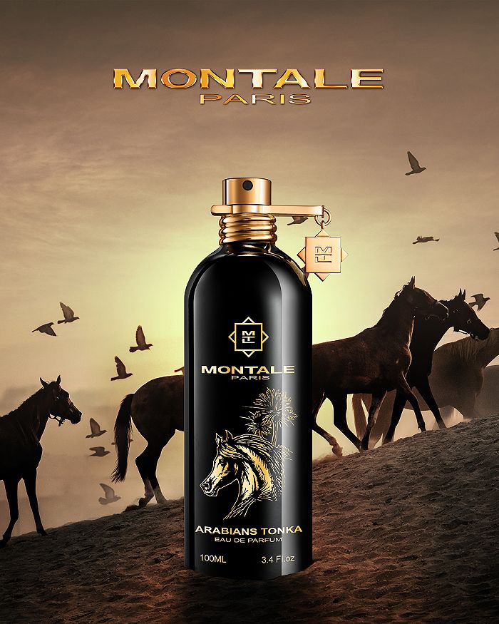 Arabians Tonka Eau de Parfum Montale - The Luxe Medspa